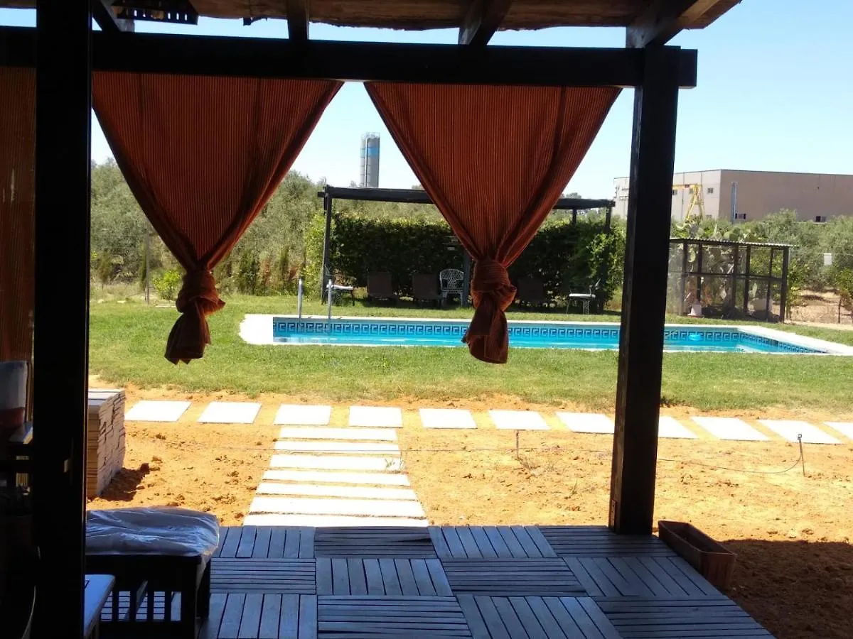 Casa Ecuestre Carmen Martinez Bed & Breakfast Fuente Palmera