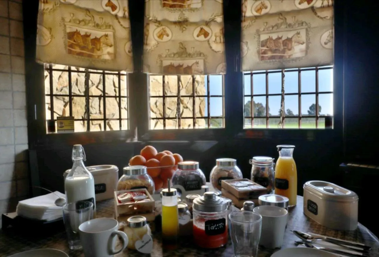 Casa Ecuestre Carmen Martinez Bed & Breakfast Fuente Palmera Spain